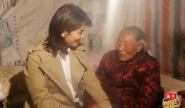 味道2在线观看完整,舌尖上的美食之旅，尽享味蕾盛宴